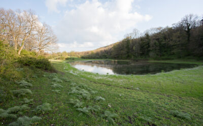 Il Lago delle Canne