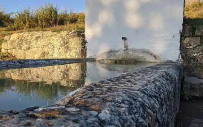 Presentazione Libro – Le Fontane di Calitri